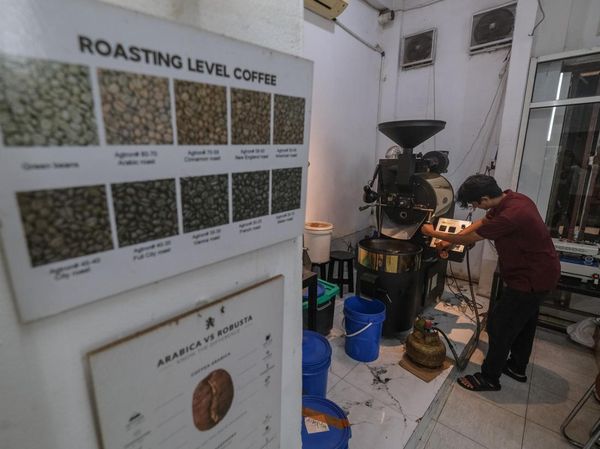 Menjaga Mutu Kopi Nasional dari Ruang Sangrai