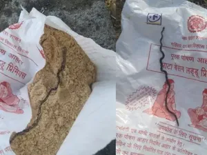 Ngeri! Ibu Hamil Temukan Bangkai Anak Ular dalam Paket Makanan