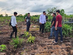 BGN Kalbar Gandeng Mahasiswa Kelola Lahan 2 Hektare untuk Pasok Buah MBG