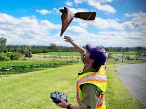 Australia Gunakan Robot Burung untuk Usir Hama Burung, Pakar IPB Ungkap Potensinya