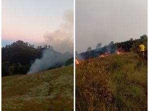 Bukit Sempana Sembalun Terbakar, Puluhan Pendaki Dievakuasi