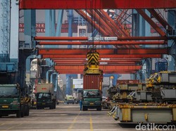 Bukan Mobil, Ini Isi Kontainer BYD yang Numpuk di Tanjung Priok