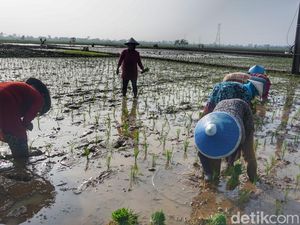 Strategi Kabupaten Bandung Hadapi Potensi Kemarau Panjang