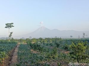 Gunung Semeru 4 Kali Erupsi Pagi Ini, Status Masih Siaga