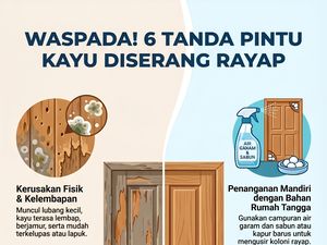 6 Tanda Pintu Rumah Diserang Rayap, Jangan Tunggu Rusak Parah!