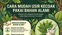 Infografis: Bahan di Dapur yang Bisa Jadi Senjata buat Usir Kecoak di Rumah