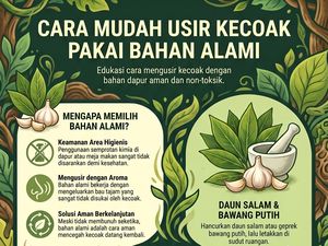 Infografis: Bahan di Dapur yang Bisa Jadi Senjata buat Usir Kecoak di Rumah