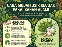 Infografis: Bahan di Dapur yang Bisa Jadi Senjata buat Usir Kecoak di Rumah