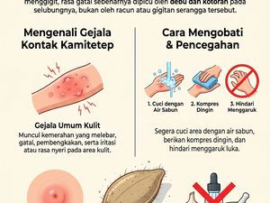 Infografis: Ciri Gigitan Kamitetep, Efek dan Cara Mengobatinya