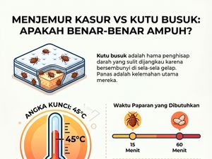 Benarkah Menjemur Kasur Bisa Membunuh Kutu Busuk? Ini Faktanya