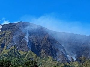 Kebakaran Bukit Sempana Capai 116 Hektare, Pendakian Ditutup Sementara