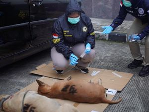 Fakta-fakta 4 Anjing Mati Bersamaan Usai Serang Bocah hingga Tewas