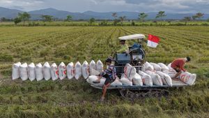 Kerja Keras Petani Dorong Ketahanan Pangan Nasional
