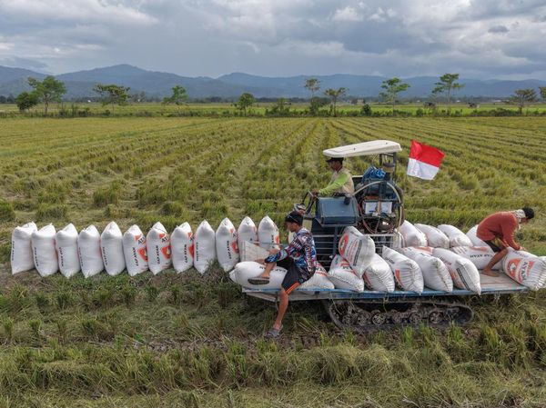 Kerja Keras Petani Dorong Ketahanan Pangan Nasional