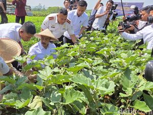 Menteri Imipas Minta 10% Laba Usaha Lapas-Rutan Disetor untuk Program Sosial