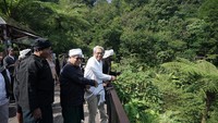 2 Elang Jawa Mengudara Lagi dengan Bebas di Langit Megamendung
