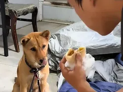 Kurir Makanan Ini Tinggal di Kolong Jembatan Demi Nabung Biaya Kuliah