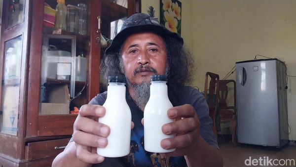 Menilik Perjuangan Gus Embek, Meracik Khasiat dari Susu Kambing Etawa