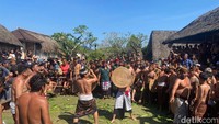 Tradisi Perang Pandan Jadi Magnet Penarik Wisatawan