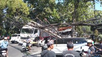 Rem Blong, Truk Semen Hantam Pohon-Tiang Listrik di Jalan Denpasar-Gilimanuk