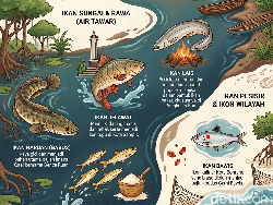 Infografis: 6 Ikan Ikonik Kuliner Khas Kalimantan