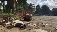 Anjing Gigit Pedagang Sayur di Pasar Galiran Klungkung, Langsung Dibunuh