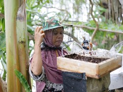 Program SLV Bangun Model Desa Berkelanjutan dari Madu Trigona