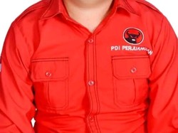 Eks Anggota DPRD TTS Tewas Dipukuli Warga gegara Masalah Lahan