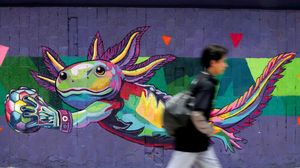Ikon Piala Dunia Axolotl Memicu Perdebatan soal Kelestarian Satwa