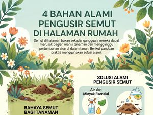 Infografis: 4 Bahan Alami yang Ampuh Basmi Semut di Halaman Rumah