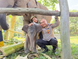 Tentang Nona Seroja: Anak Gajah Baru di Tesso Nilo