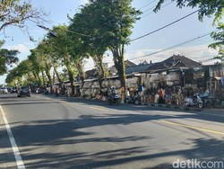 Dagang Penjor Menjamur di Kapal, Pembeli Dilarang Parkir di Badan Jalan