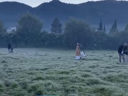 Brrr, Syafa Cerita Dinginnya Dieng -4 Derajat Bikin Dedaunan Membeku