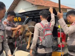 Polres Bogor Kerahkan K-9 Lacak Anjing Pemburu yang Lepas di Jasinga
