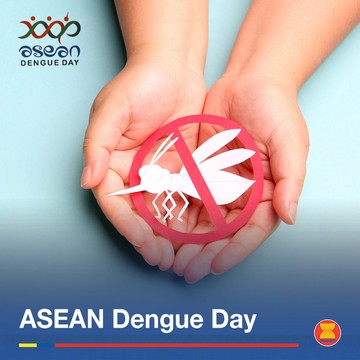 Hari Demam Berdarah ASEAN 2026: Tema dan Pesan Peringatannya 15 Juni