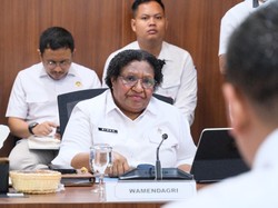 Wamendagri Ungkap Percepatan Sentra Pangan-Air di Papua Selatan