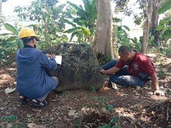 Watu Dakon Era Megalitikum Ditemukan di Singosari Malang