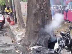 Pohon di Ratulangi Makassar Keluarkan Asap dari Lubang, Damkar Turun Tangan