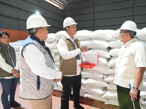 BPK Apresiasi Kinerja BULOG, Pengadaan Gabah dan Beras Capai 77%
