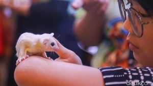 Dari Hobi Jadi Peluang Bisnis, Pameran Internasional Dongkrak Ekonomi Kreatif