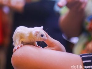 Dari Hobi Jadi Peluang Bisnis, Pameran Internasional Dongkrak Ekonomi Kreatif