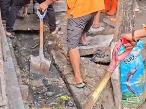 Terkuak Limbah Pallubasa Serigala Dibuang Sembarangan Selama 30 Tahun