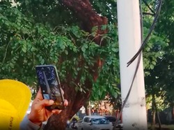 Puluhan Kabel PJU Dipotong Bikin Jalanan di Kebayoran Lama Gelap Gulita