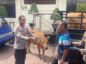 Pencuri Sapi-Babi di Karangasem Ternyata Residivis, Beraksi Lintas Kabupaten