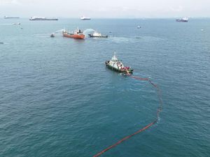Ramainya Aktivitas Maritim Bawa Tantangan Baru bagi Lingkungan Laut