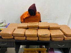 Pria di Bangka Tengah Diringkus karena Simpan 21,6 Kilogram Ganja