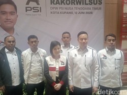 PSI Sesumbar NTT Bakal Jadi Kandang Gajah