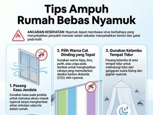 Infografis: Tips Ampuh Bikin Rumah Bebas Nyamuk