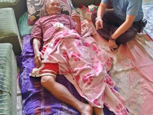 Babi Hutan Ngamuk Serang 4 Warga di Cianjur, 2 Jari Korban Putus