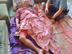 Babi Hutan Ngamuk Serang 4 Warga di Cianjur, 2 Jari Korban Putus